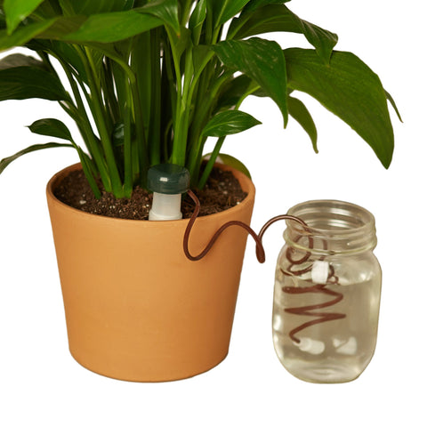 Automatic Plant Waterers - Black Bamboo